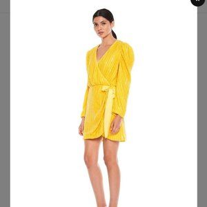 NWT La Maison Talulah Beaming L/S Mini Dress- LG